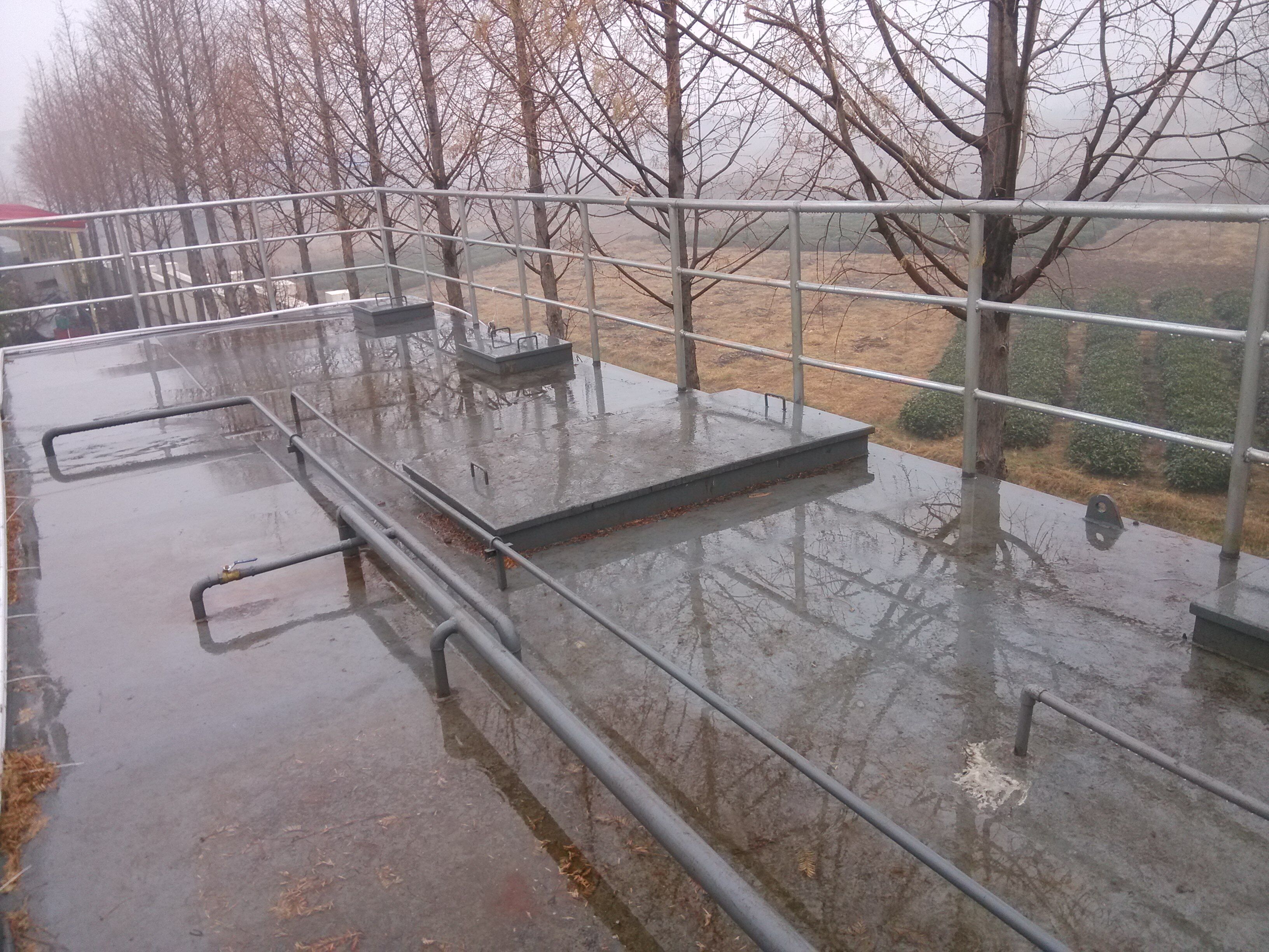 项目1-崂矿 (4).jpg