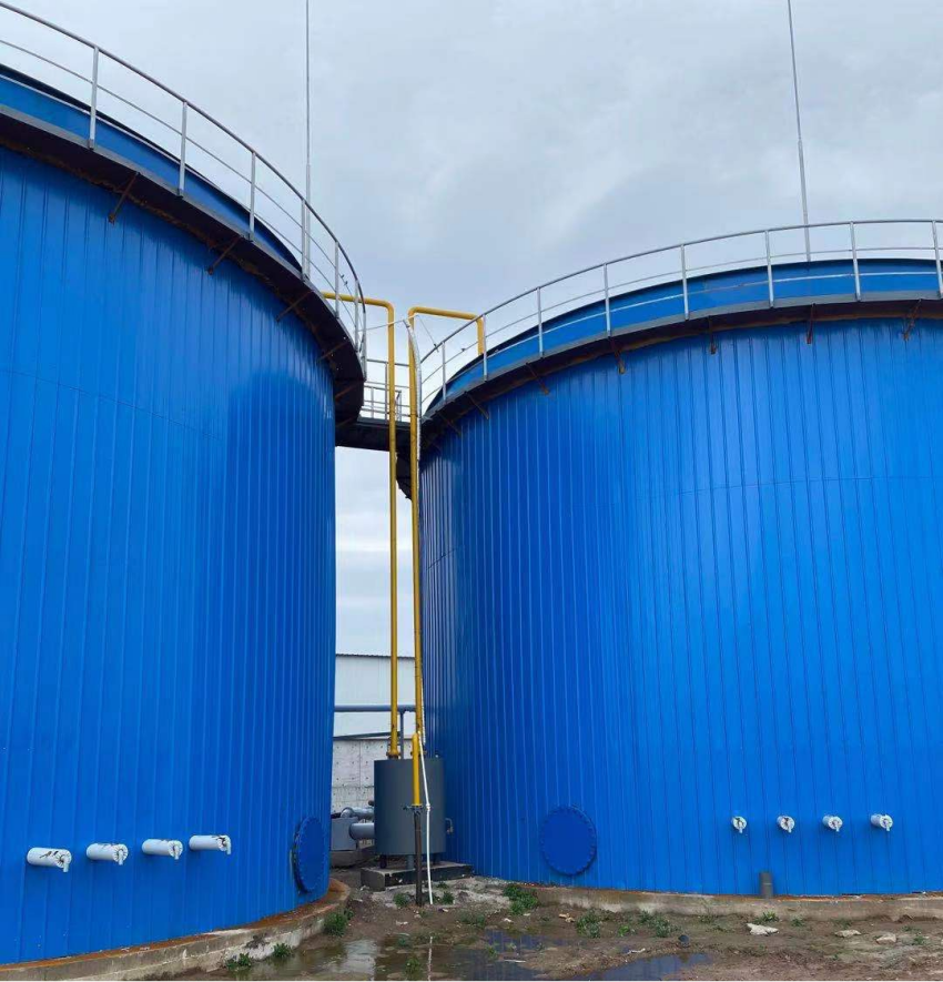 项目6-新希望六和 (12).png