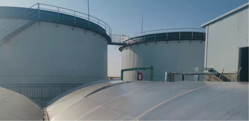 项目6-新希望六和 (21).png