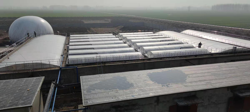 项目6-新希望六和 (1).png