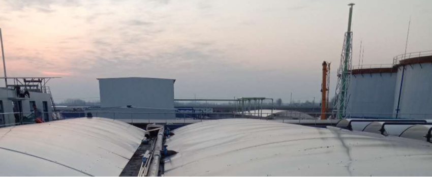 项目6-新希望六和 (2).png