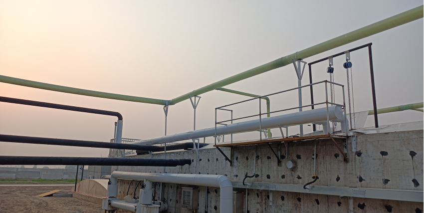 项目6-新希望六和 (9).png