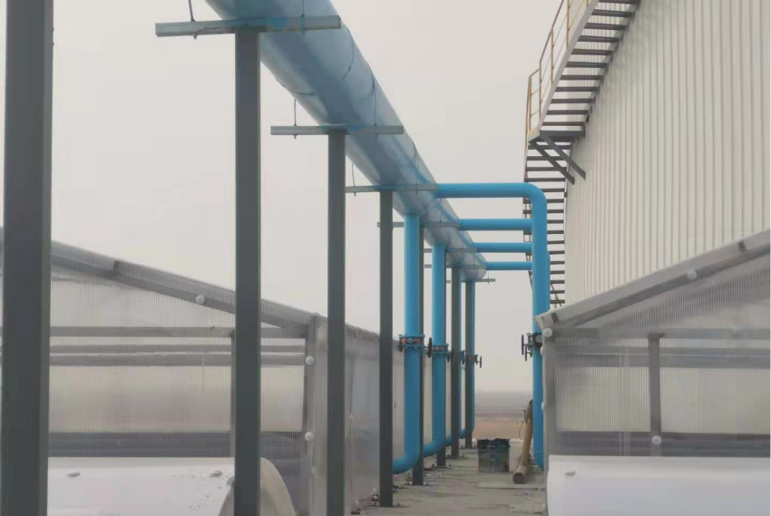 项目6-新希望六和 (11).png