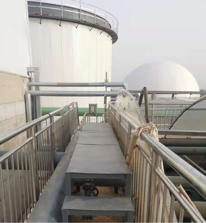 项目6-新希望六和 (4).png