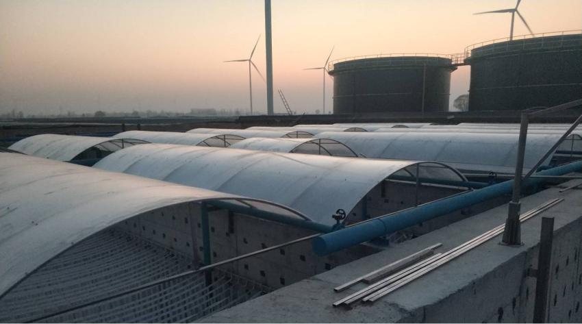 项目6-新希望六和 (6).png