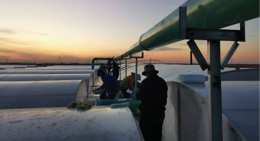 项目6-新希望六和 (22).png