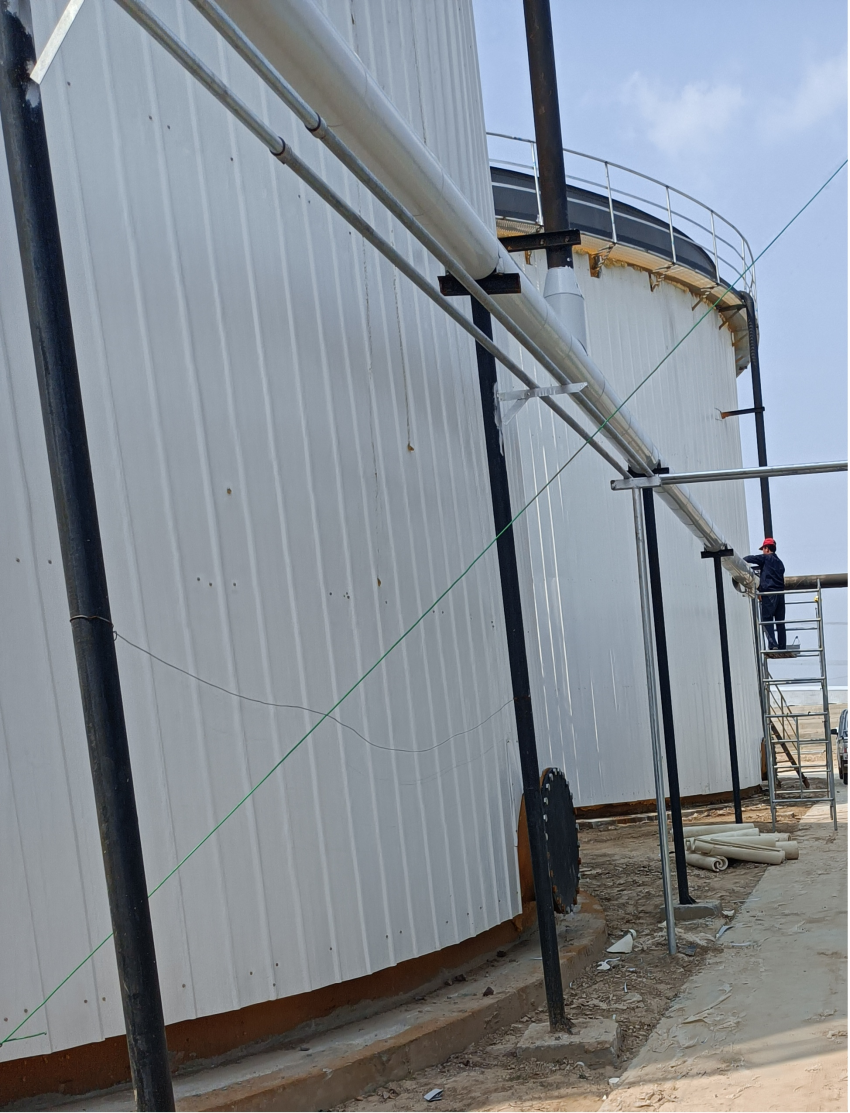 项目6-新希望六和 (10).png